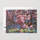 Kirschblüten und Blüten aus Bienenrosa Postkarte (Vorne/Hinten)