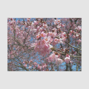Kirschblüten und Blüten aus Bienenrosa Seidenpapier
