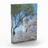 Kirschblüten und das Washington Monument Fotoblock (Links)