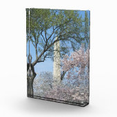Kirschblüten und das Washington Monument Fotoblock (Rechts)