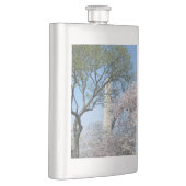 Kirschblüten und das Washington Monument in DC Flachmann (Rechts)