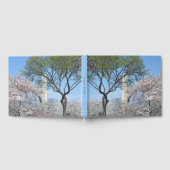 Kirschblüten und das Washington Monument in DC Gästebuch (Voll)