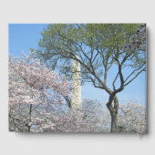 Kirschblüten und das Washington Monument in DC Gästebuch (Rückseite)