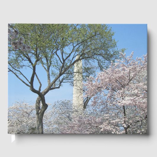 Kirschblüten und das Washington Monument in DC Gästebuch (Vorderseite)