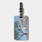 Kirschblüten und das Washington Monument in DC Gepäckanhänger (Vorderseite vertikal)