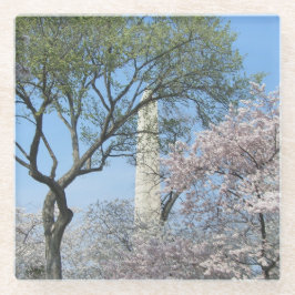 Kirschblüten und das Washington Monument in DC Glasuntersetzer