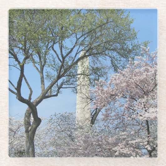 Kirschblüten und das Washington Monument in DC Glasuntersetzer (Vorderseite)