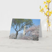 Kirschblüten und das Washington Monument in DC Karte (Gelbe Blume)