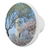 Kirschblüten und das Washington Monument in DC Keramikknauf (Rechts)