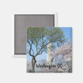 Kirschblüten und das Washington Monument in DC Magnet (Vorderseite/Rückseite)