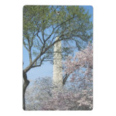 Kirschblüten und das Washington Monument in DC Mini Klemmbrett (Rückseite)