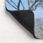 Kirschblüten und das Washington Monument in DC Mousepad (Ecke)