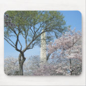 Kirschblüten und das Washington Monument in DC Mousepad (Vorne)
