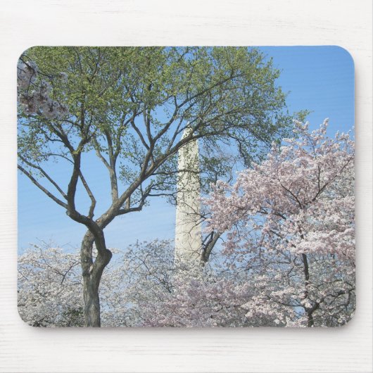 Kirschblüten und das Washington Monument in DC Mousepad (Vorne)