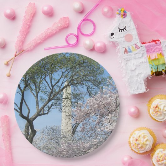 Kirschblüten und das Washington Monument in DC Pappteller (Party)