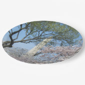 Kirschblüten und das Washington Monument in DC Pappteller (Schrägansicht)