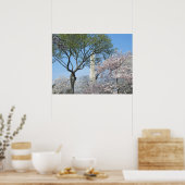 Kirschblüten und das Washington Monument in DC Poster (Küche)