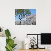 Kirschblüten und das Washington Monument in DC Poster (Heimbüro)
