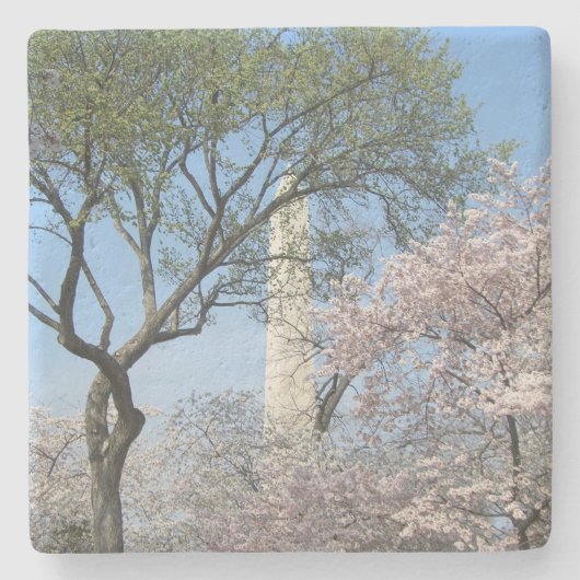 Kirschblüten und das Washington Monument in DC Steinuntersetzer (Vorderseite)