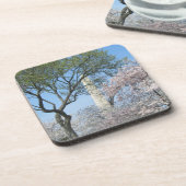 Kirschblüten und das Washington Monument in DC Untersetzer (Linke Seite)