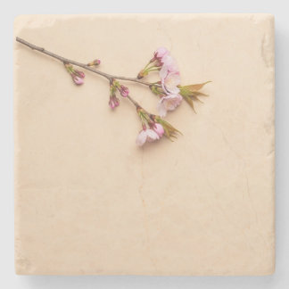 Kirschblüten- und Gänseblümchen-Hintergrund Steinuntersetzer