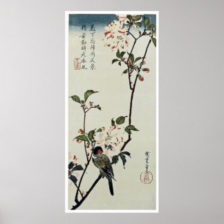 Kirschblüten und kleiner Vogel Poster