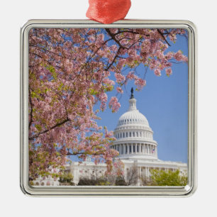 Kirschblüten vor Hauptstadts-Gebäude Silbernes Ornament