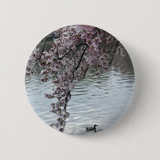Kirschblüten-Washington DC Button (Vorderseite)