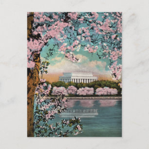 Kirschblüten Washington DC Postkarte im Vintage-St