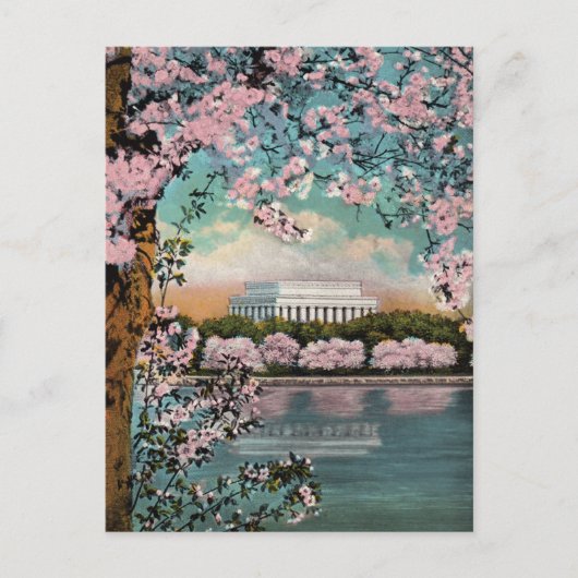 Kirschblüten Washington DC Postkarte im Vintage-St (Vorderseite)
