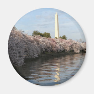 Kirschblüten-Washington-Monument Magnet