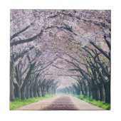 Kirschblüten-Weg Fliese (Vorderseite)