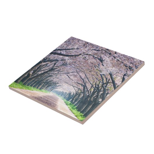 Kirschblüten-Weg Fliese (Seite)