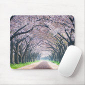 Kirschblüten-Weg Mousepad (Mit Mouse)