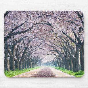 Kirschblüten-Weg Mousepad