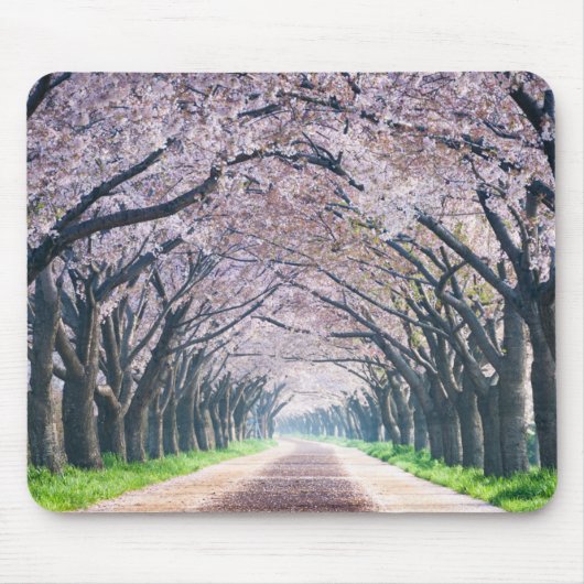 Kirschblüten-Weg Mousepad (Vorne)