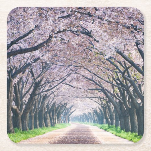Kirschblüten-Weg Rechteckiger Pappuntersetzer (Vorderseite)
