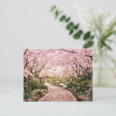Kirschblütenbäume Postkarte (Stehend Vorderseite)