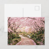 Kirschblütenbäume Postkarte (Vorne/Hinten)