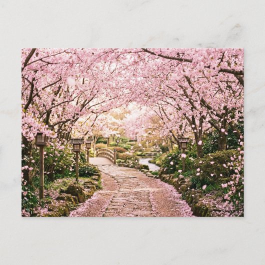 Kirschblütenbäume Postkarte (Vorderseite)