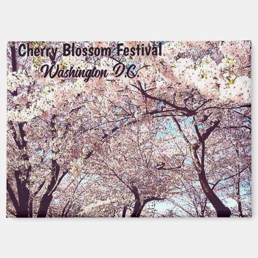 Kirschblütenfest Washington D.C. Souvenir Magnet (Vorderseite)