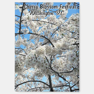 Kirschblütenfest Washington D.C. Souvenir Magnet