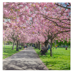 Kirschblütenfliese Fliese