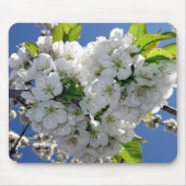 Kirschblütenherz Mousepad (Vorne)