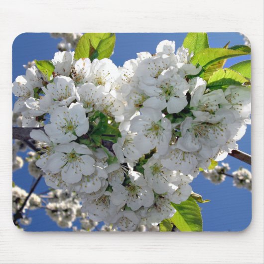 Kirschblütenherz Mousepad (Vorne)