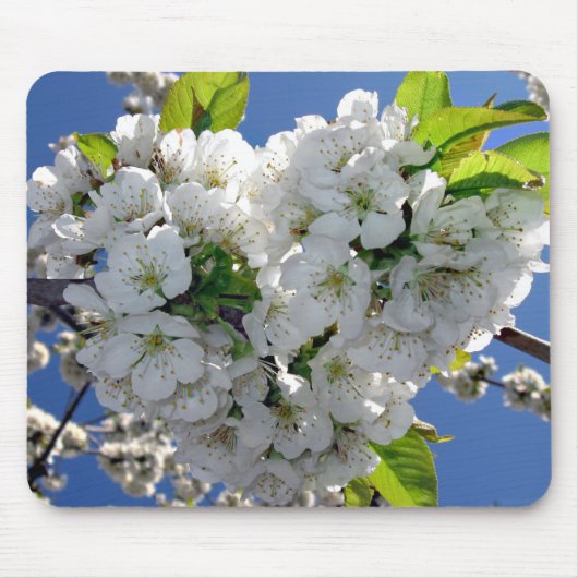 Kirschblütenherz Mousepad (Vorne)