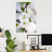 Kirschblütenposter/Leinwand Poster (Heimbüro)