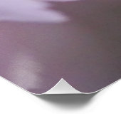 Kirschblütenposter Poster (Ecke)