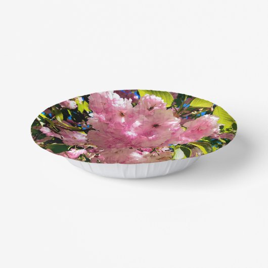 Kirschblütenschale, 7" Papierschale Pappteller (Gewinkelt)