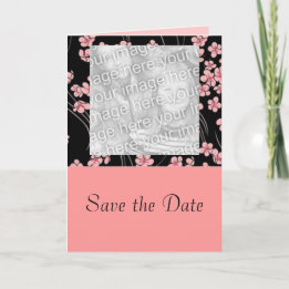 Kirsche blüht auf schwarzer Fotokarte Ankündigung